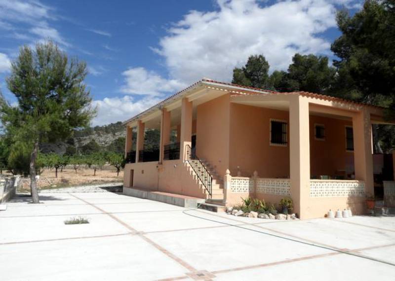 Casa de Campo - Ventas - Hondon de las Nieves - Hondon de las Nieves