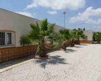 Resales - Country Property/Finca - Crevillente - Crevillente Alicante