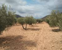 Resales - Land - Hondon de las Nieves