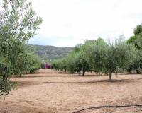 Sale - Country Property/Finca - Aspe - Aspe Alicante
