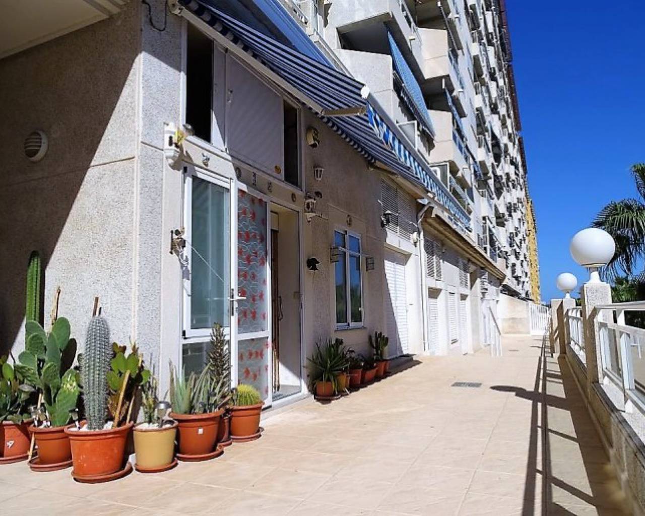 Apartment - Resales - Campoamor - 7012