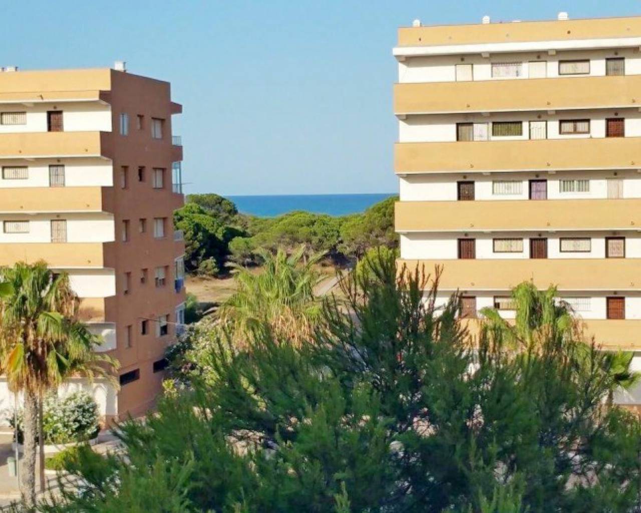 Apartment - Resales - La Mata -  N1007