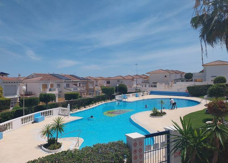 Appartement - Sale - La Mata - La Mata