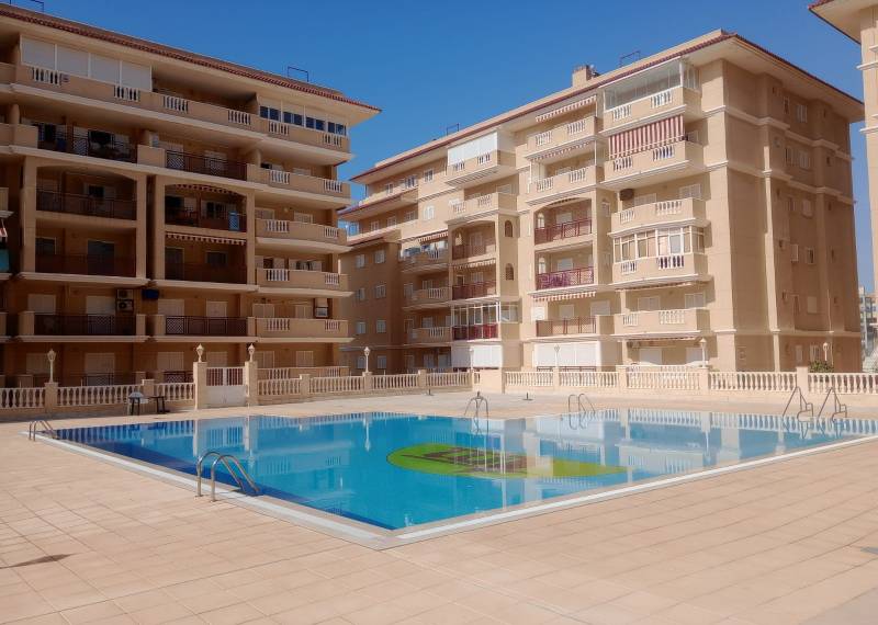 Appartement - Sale - La Mata - La Mata