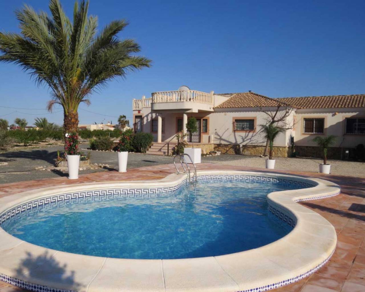 Detached Villa - Sale - Crevillente - mcbh-55006