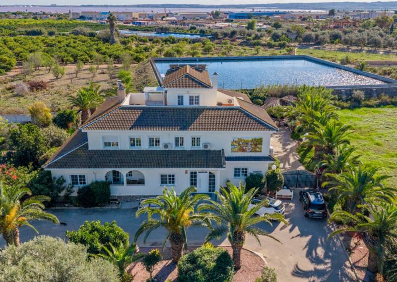 Finca / Country Property - Resales - Los Montesinos - Los Montesinos