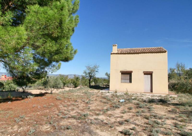 Finca - Ventas - Castalla - Castalla