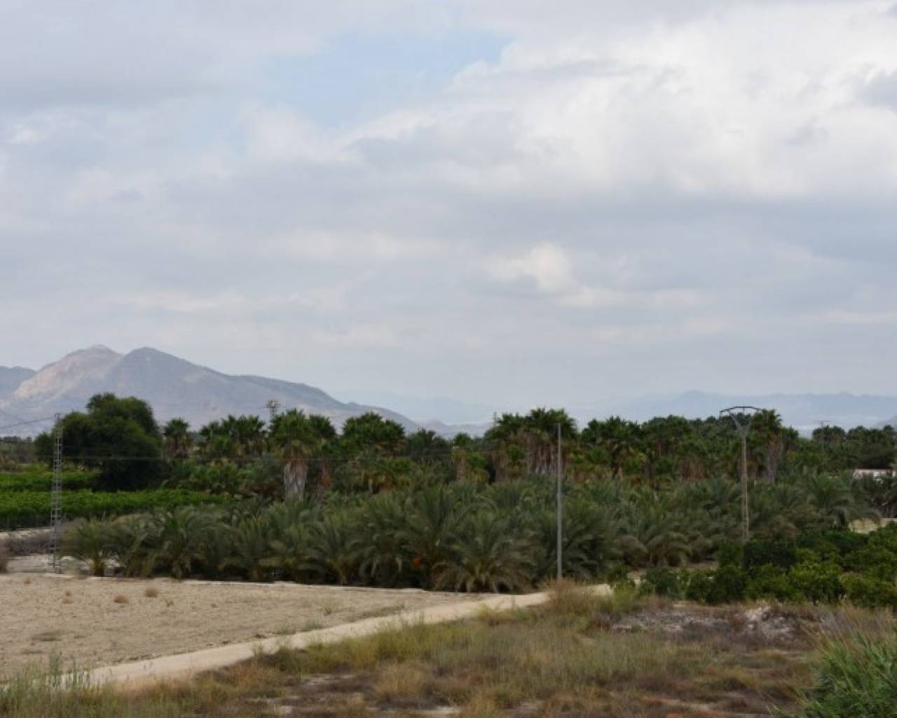 Lägenhet - Sale - Jacarilla - D410