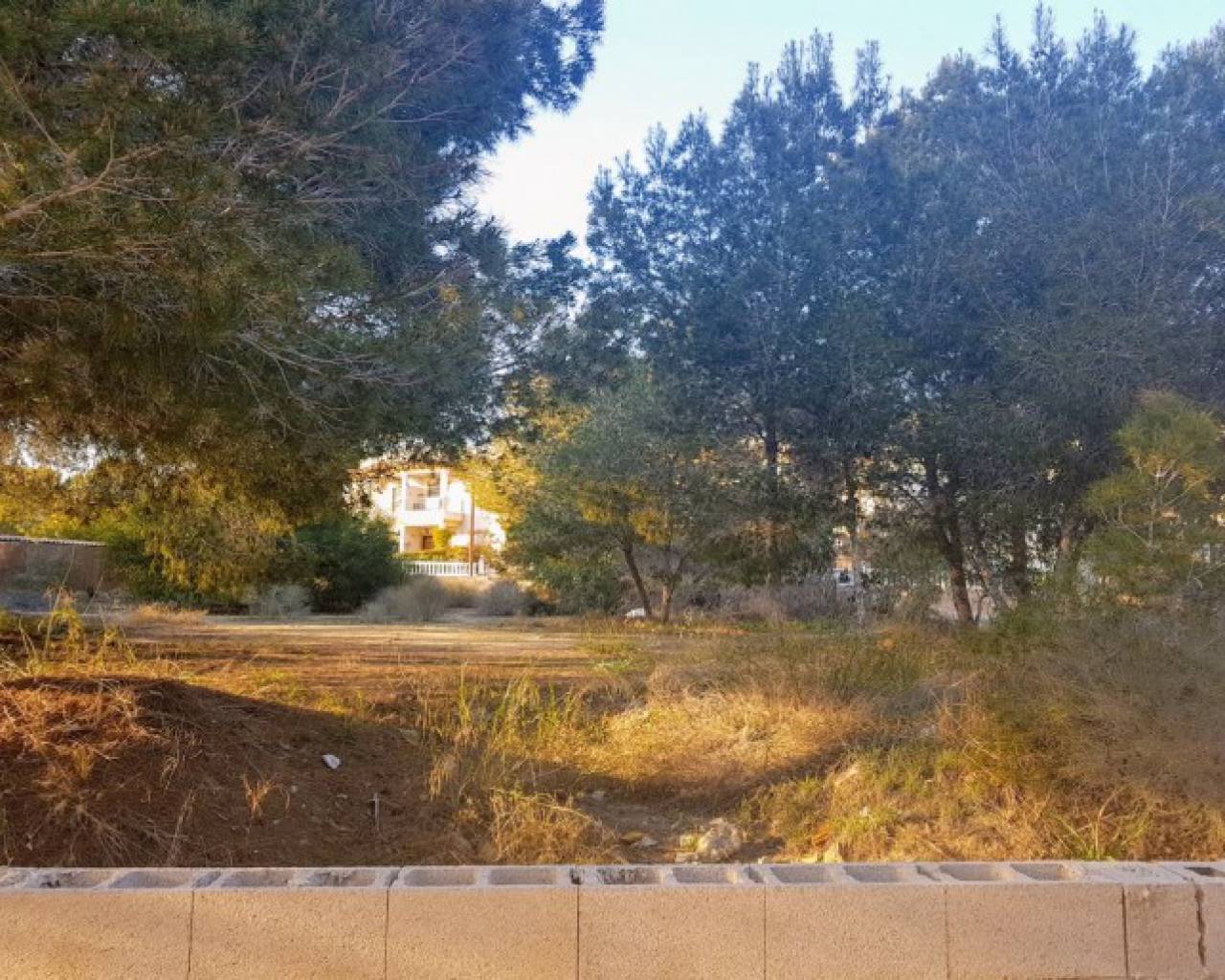 Land - Resales - Algorfa - JTS001627