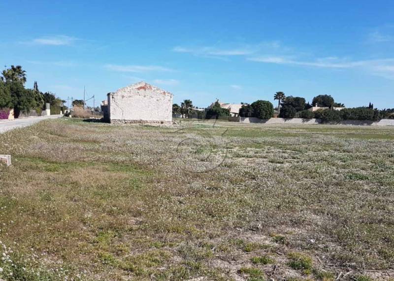 Plots and Land - Resales - Catral - Catral Alicante
