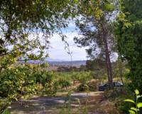 Resales - Country Property/Finca - Hondon de las Nieves - La Canalosa