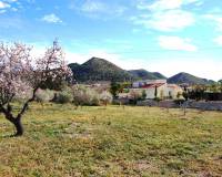 Resales - Country Property/Finca - Hondón de los Frailes - Hondon de los Frailes Alicante