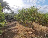 Resales - Country Villa - Catral