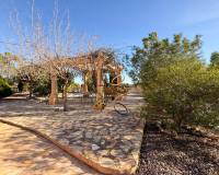 Resales -  - Crevillente