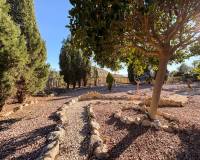 Resales -  - Crevillente