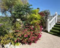 Resales - Finca / Country Property - Catral