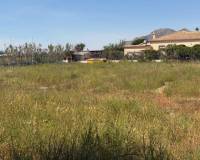 Resales - Finca / Country Property - Catral