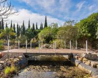 Resales - Finca / Country Property - Catral