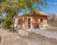 Resales - Finca / Country Property - Catral