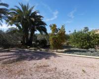 Resales - Finca/Country Property - Catral