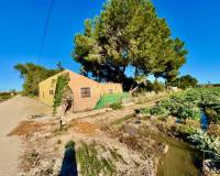 Resales - Finca / Country Property - Guardamar del Segura