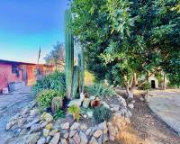 Resales - Finca / Country Property - Guardamar del Segura