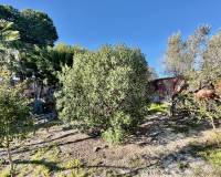 Resales - Finca / Country Property - Guardamar del Segura