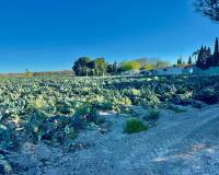 Resales - Finca / Country Property - Guardamar del Segura