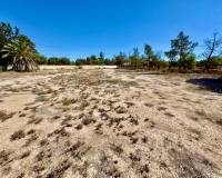 Resales - Finca / Country Property - Los Montesinos