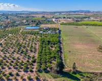 Resales - Finca / Country Property - Los Montesinos