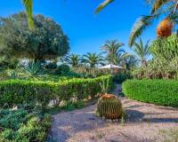 Resales - Finca / Country Property - Los Montesinos