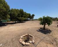 Resales - Finca / Country Property - Torrellano
