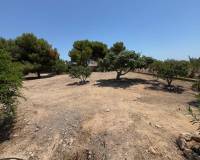 Resales - Finca / Country Property - Torrellano