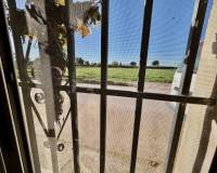 Resales - Finca / landbezit - Guardamar del Segura