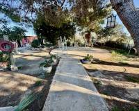 Resales - Finca / landbezit - Guardamar del Segura