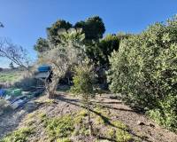 Resales - Finca / landbezit - Guardamar del Segura