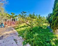 Resales - Finca / landbezit - Guardamar del Segura