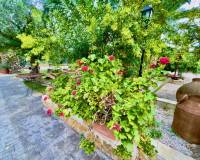 Resales - Finca / landbezit - Orihuela