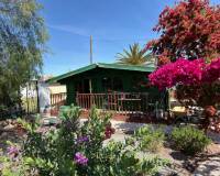 Resales - Finca / Landgut - Catral