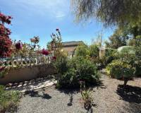 Resales - Finca / Landgut - Catral