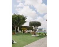 Resales - Freistehendes Haus / Villa - San Fulgencio - Urb. La Marina