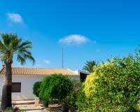 Resales - Independent villa - Guardamar del Segura - El Raso