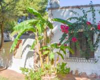 Resales - Independent villa - Orihuela Costa - Punta Prima