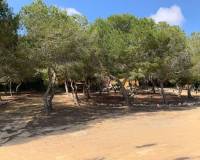 Resales - Independent villa - Rojales - Ciudad Quesada