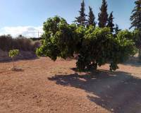 Resales - Landeigendom - Murcia - Valle Del Sol
