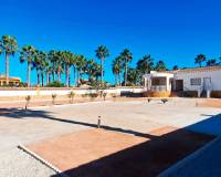 Resales - Landeigentum - Catral - Catral - Country