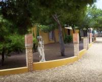 Resales - Landeigentum - Ciudad Quesada - Lo Pepin