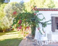 Resales -  - Orihuela Costa - Punta Prima