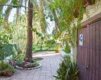 Resales -  - Orihuela Costa - Punta Prima