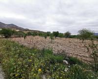 Resales - Vernieuwing - Hondon de las Nieves